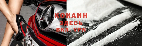 дмт Белокуриха