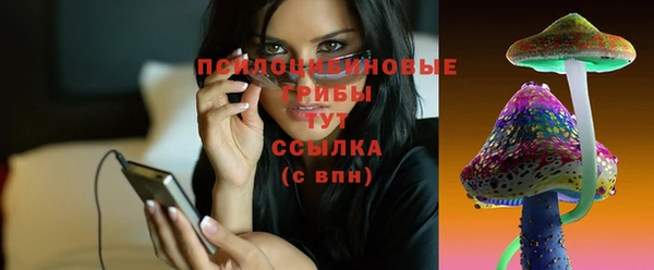 дмт Белокуриха