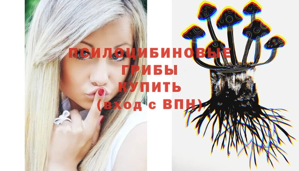 дмт Белокуриха