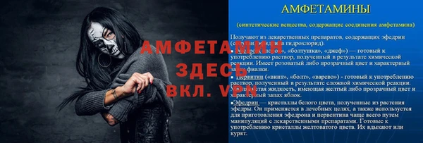 ГАЛЛЮЦИНОГЕННЫЕ ГРИБЫ Баксан