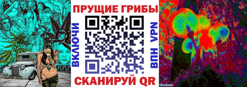 Галлюциногенные грибы Cubensis  Пойковский 